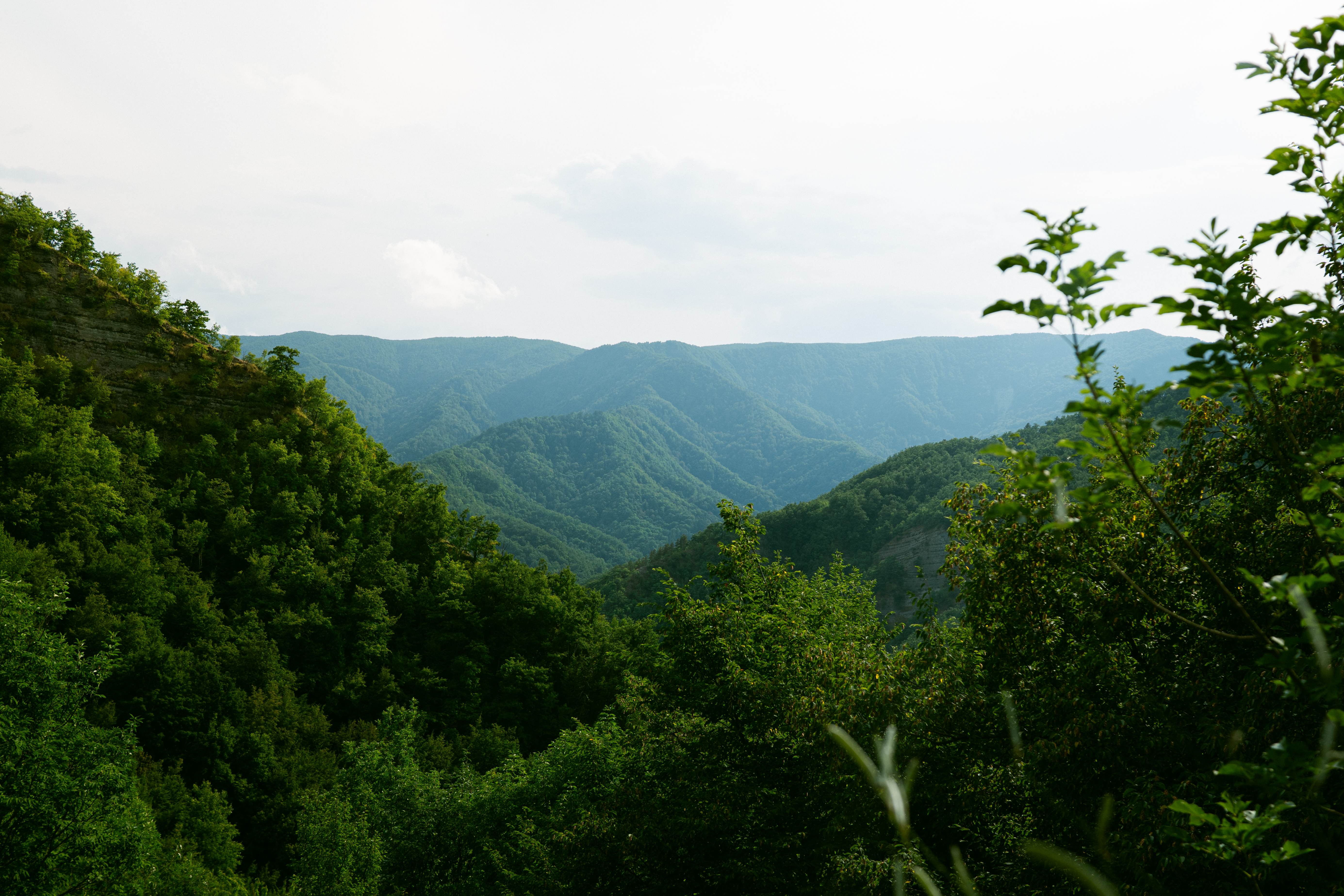 Nature