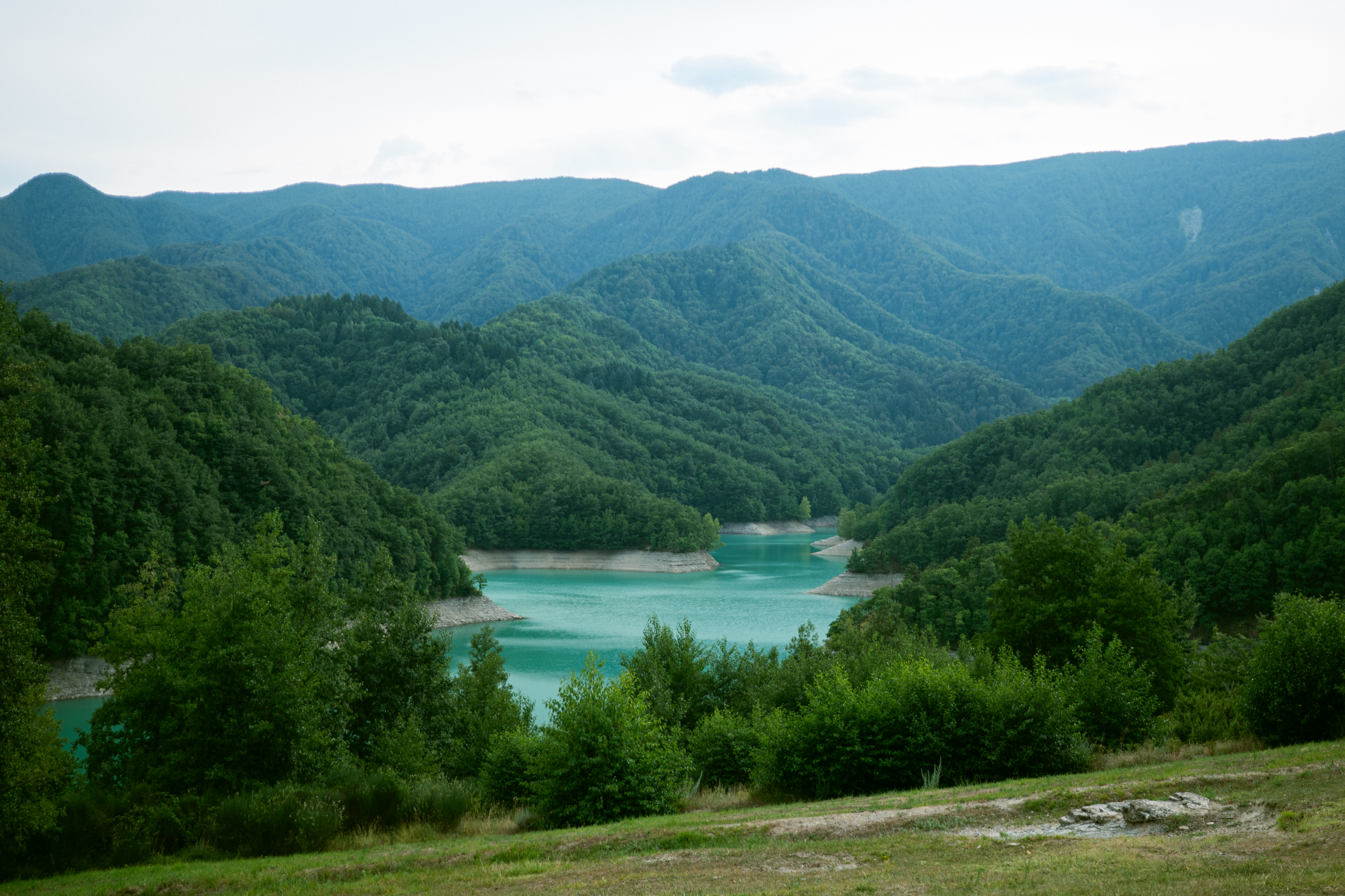 Nature