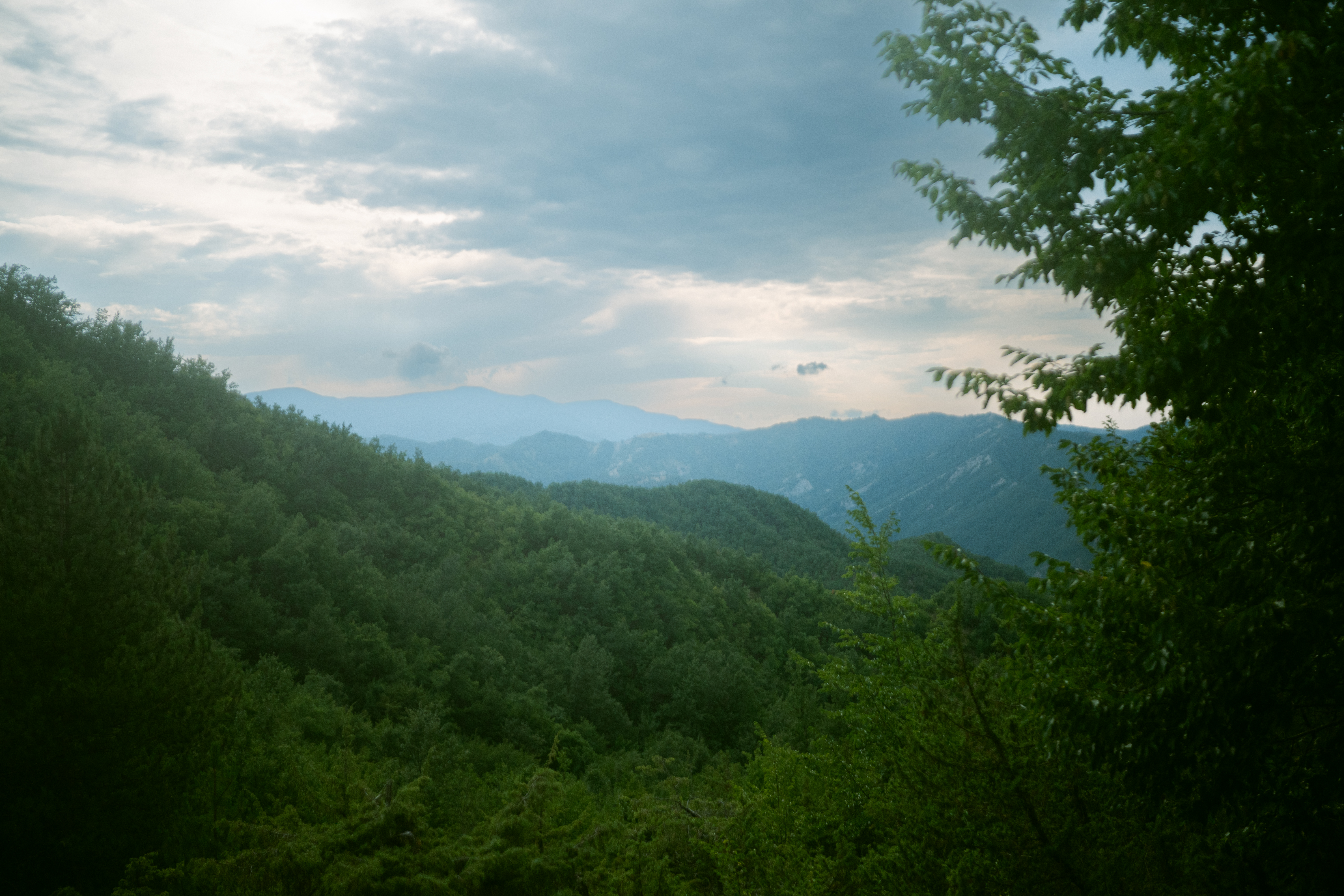 Nature