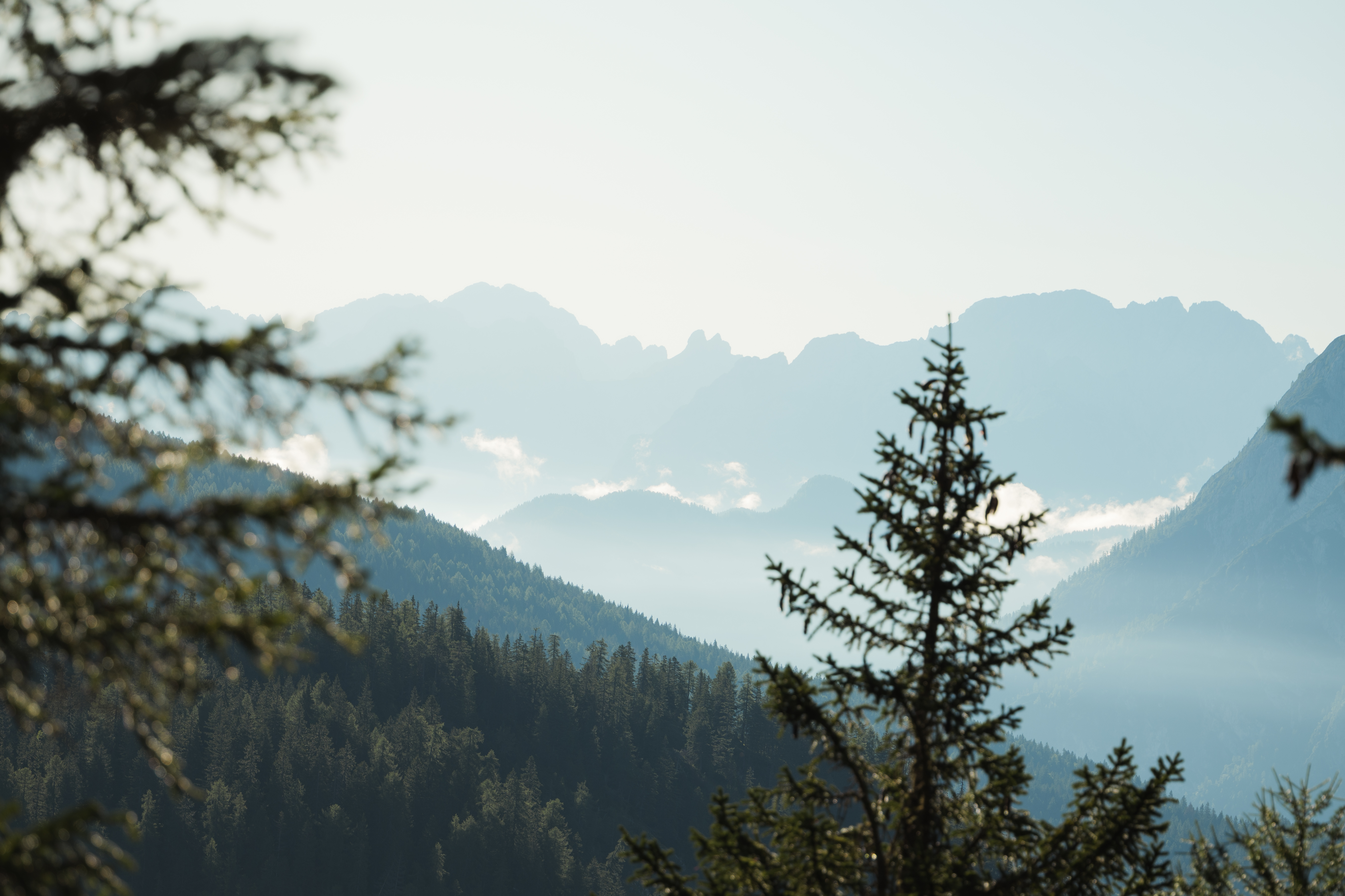 Nature