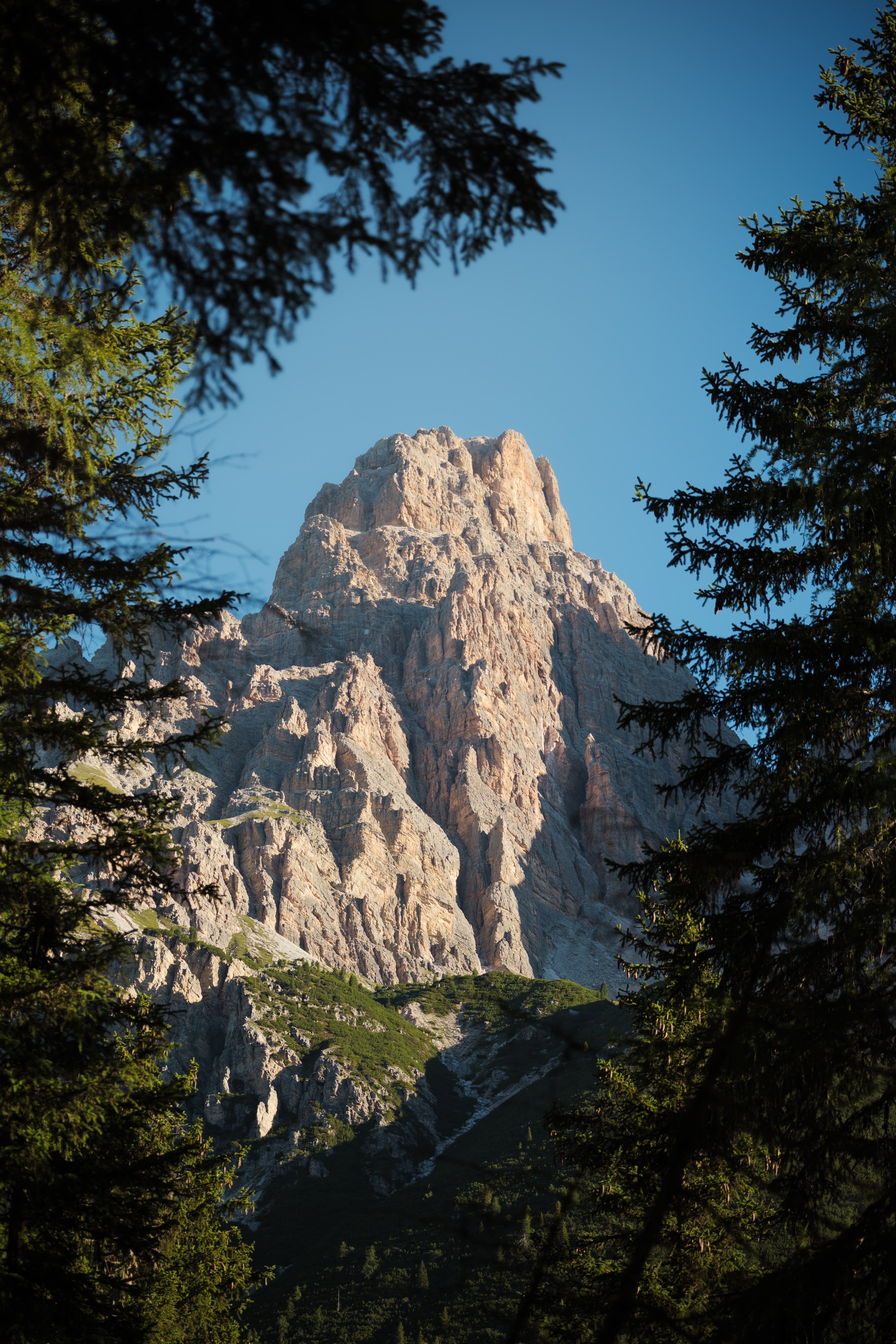 Nature