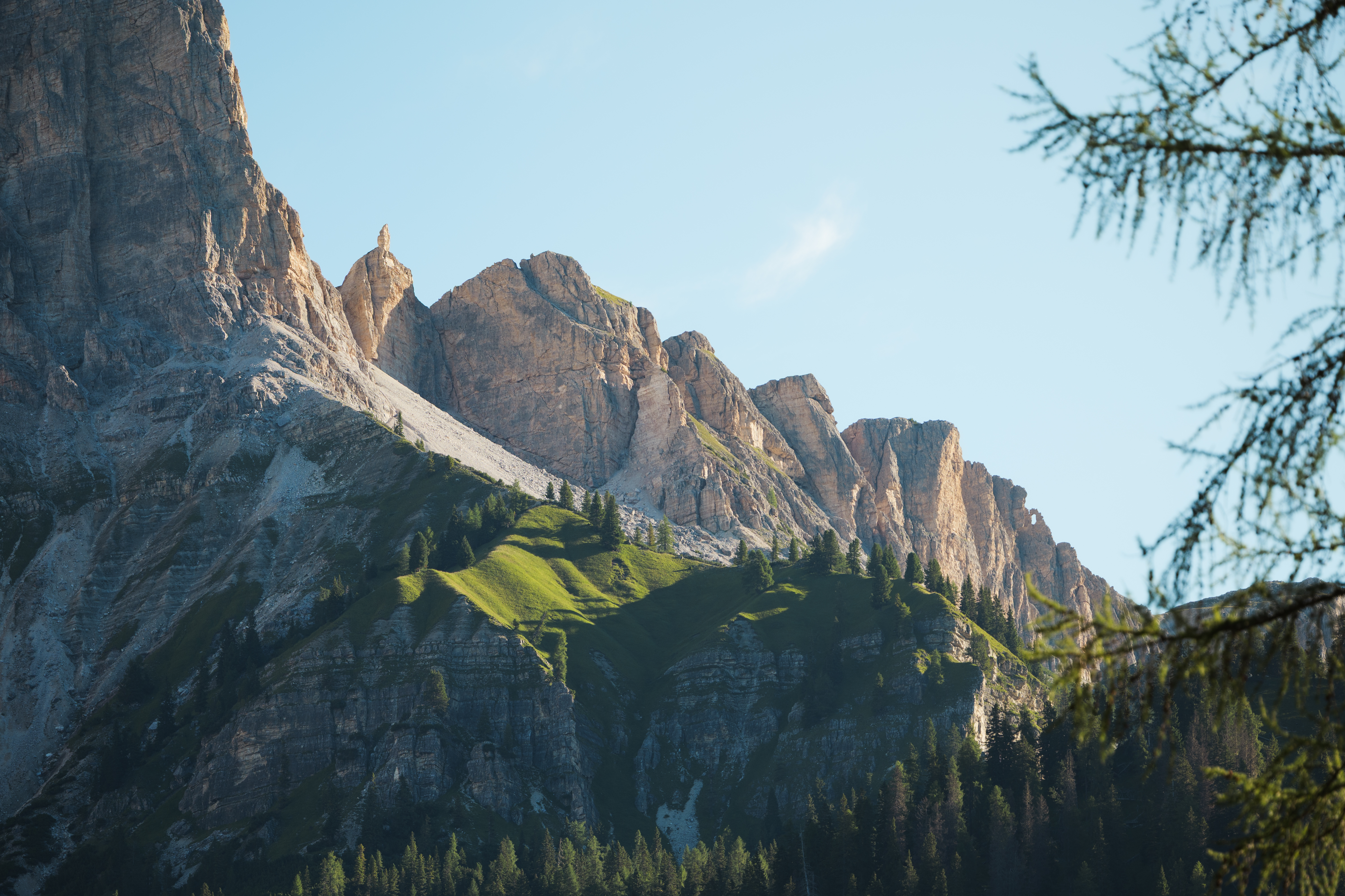 Nature