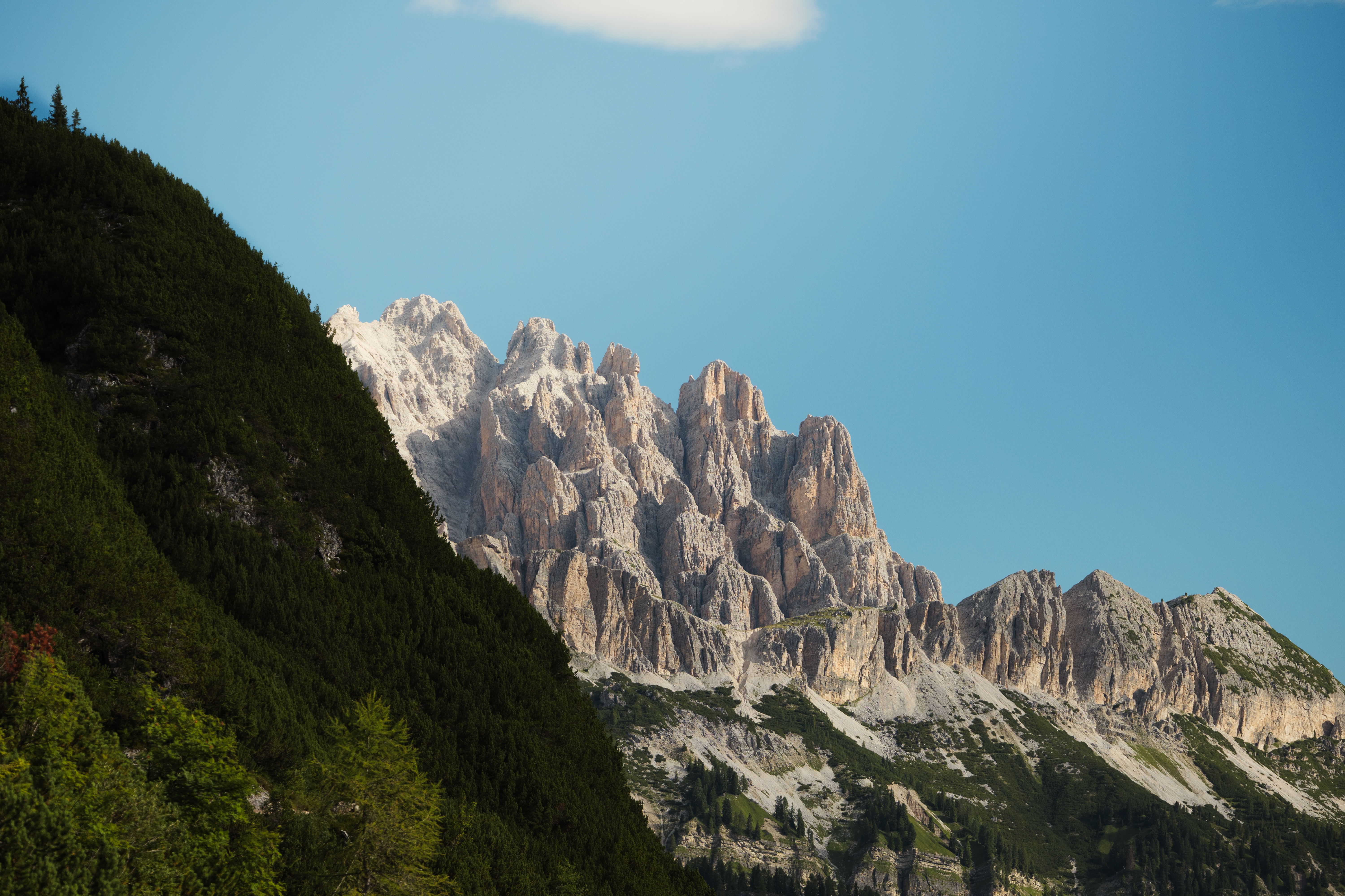 Nature